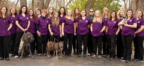 North river animal hospital - North River Animal Hospital is your local Veterinarian in Fort Gratiot serving all of your needs. Call us today at (810) 985-6117 for an appointment. 